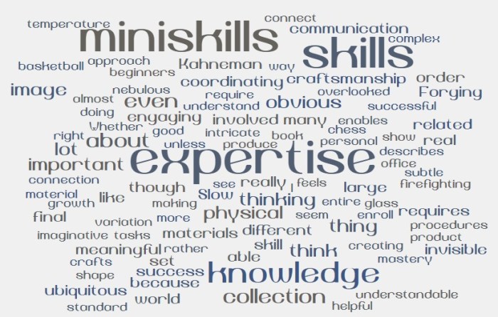 A Large Collection of Miniskills