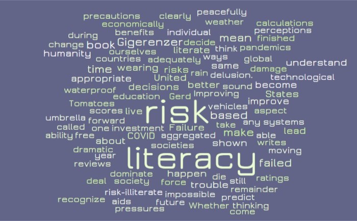Risk Literacy - Joe Abittan