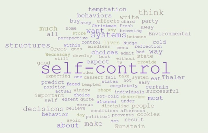 Self-Control & Environmental Effects - Joe Abittan