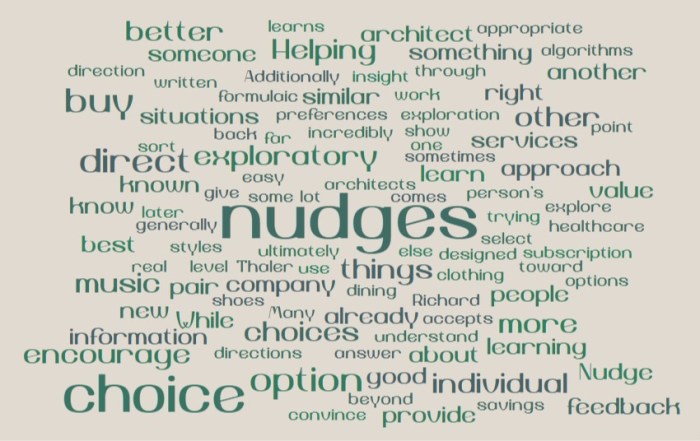 Learning and Exploratory Nudges - Joe Abittan