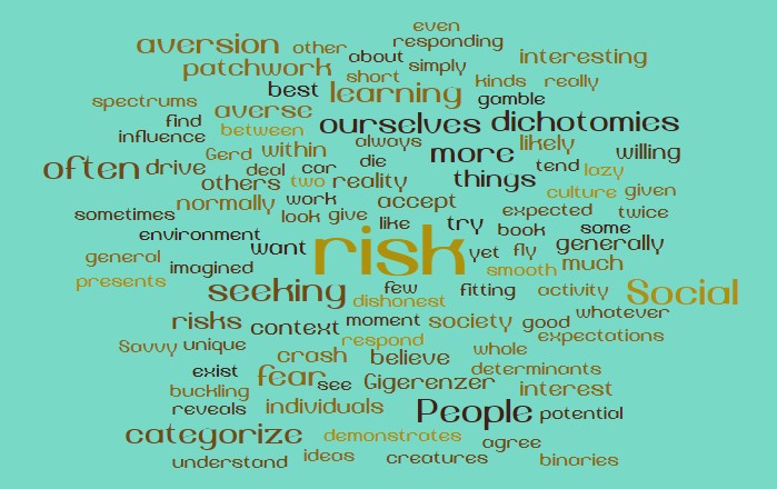 Social learning and risk aversion