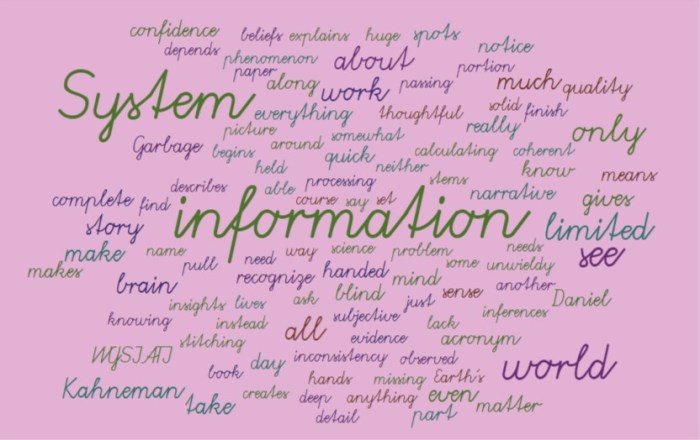 What You See Is All There Is