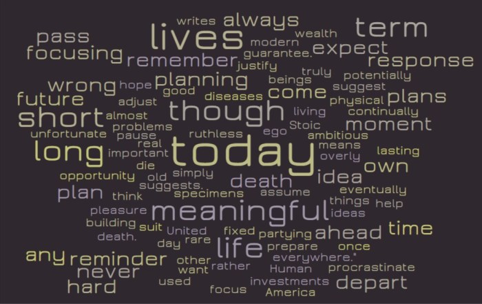 Our Few Years on Earth - Joe Abittan