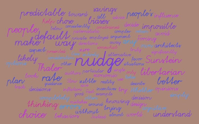 Paternalistic Nudges - Joe Abittan