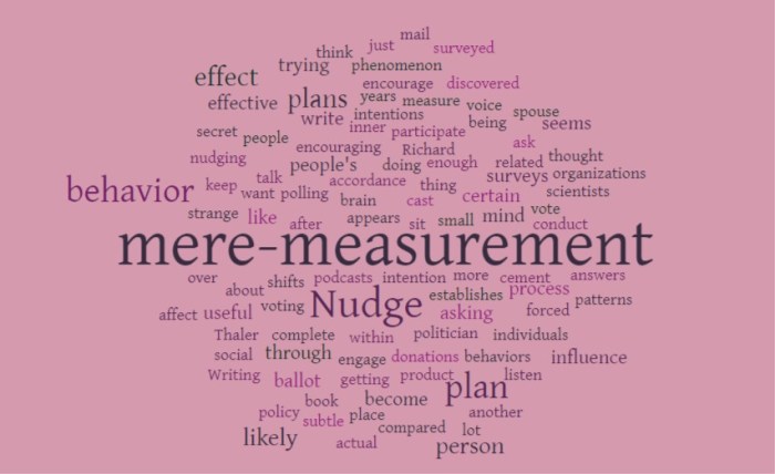 The Mere Measurement Effect - Joe Abittan