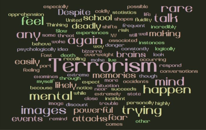 Why Terrorism Works