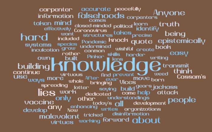 A Vaccine for Lies and Falsehoods