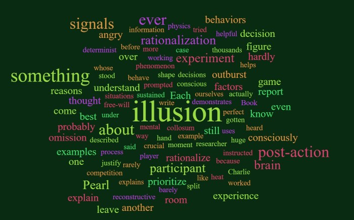 Post-Action Rationalization