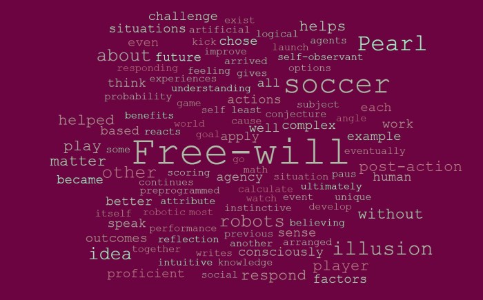 The Illusion of Free Will & Soccer