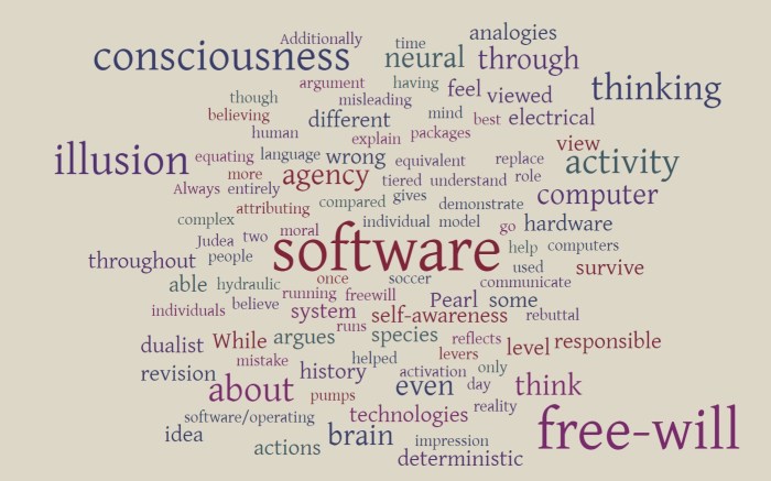 The Illusion of Free Will & Computer Software