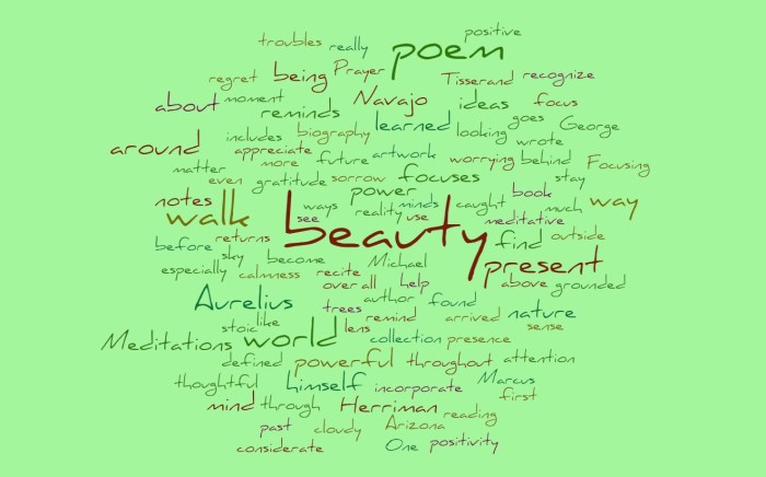 A Navajo Beauty Prayer