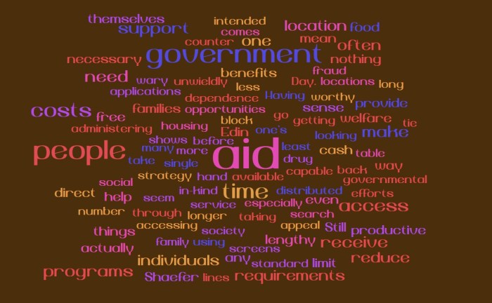 Paying with Time - $2.00 A Day - Edin & Shaefer - Joe Abittan