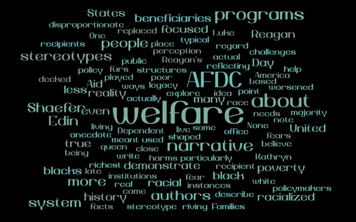 Misperceptions About AFDC
