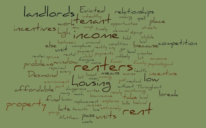 The Incentives Around Low-Market Housing