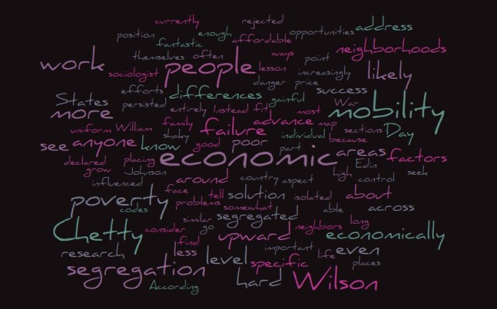 Economic Segregation and Poverty