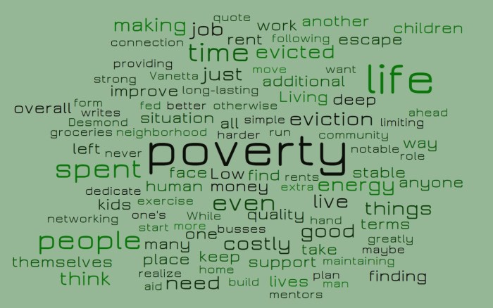 Individual Costs of Eviction