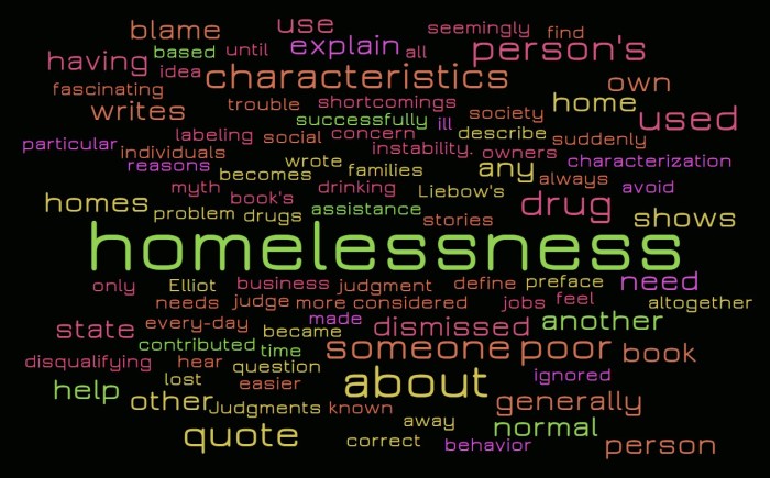 Judging, or Explaining, the Homeless