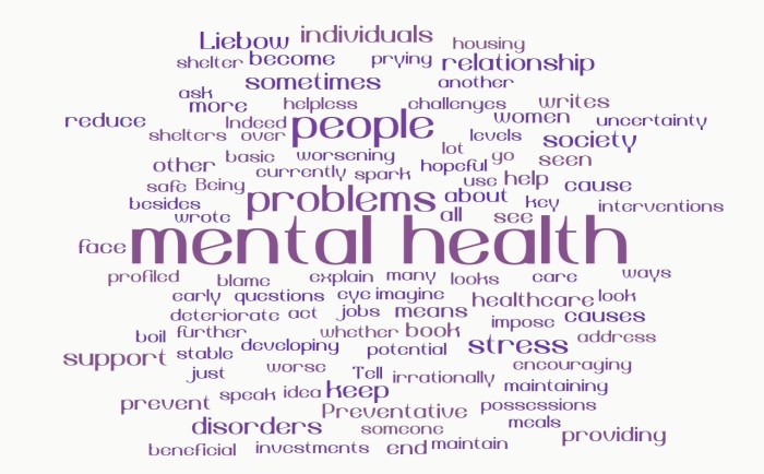 The Chicken and Egg Problem of Mental Health Issues and Homelessness