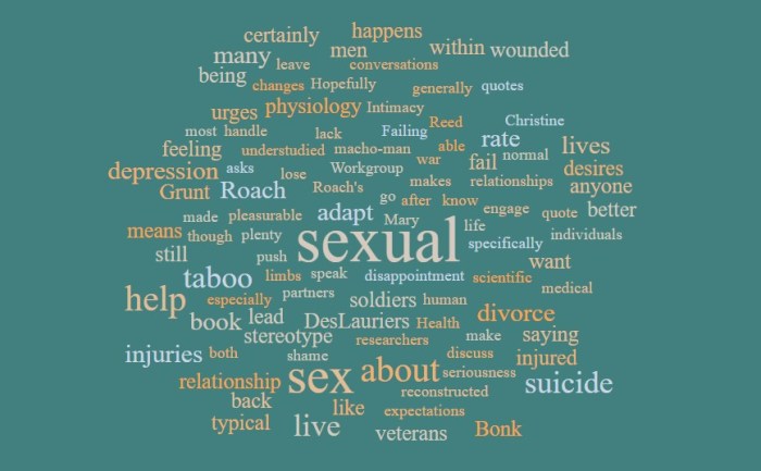 Injured Veterans, Sex, Divorce, and Suicide