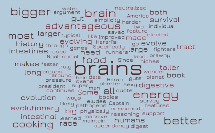 Is Human Evolution an Inevitable Race Toward Bigger Brains?