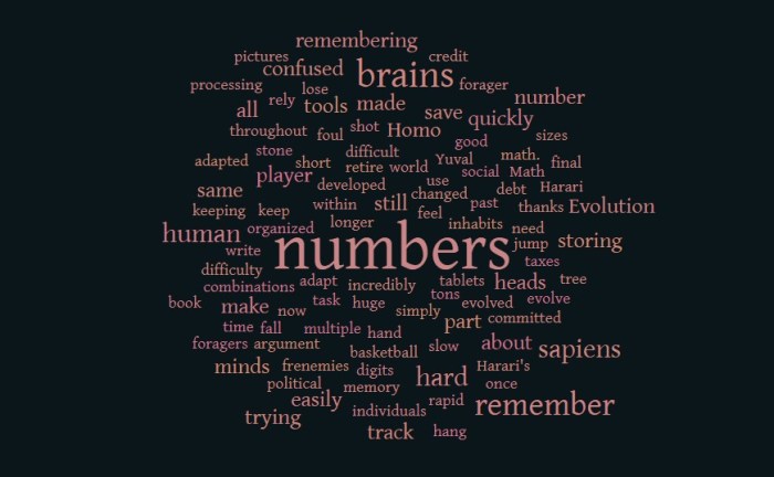 Remembering Numbers