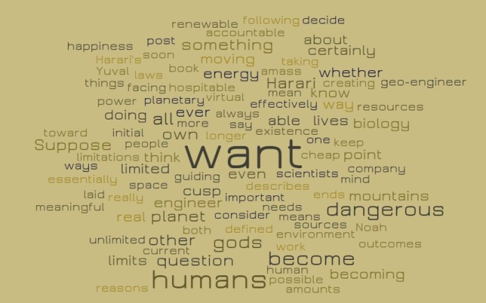 What Do We Want to Want?