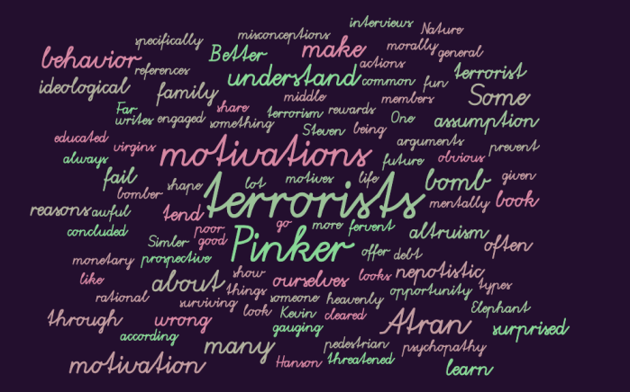 Terrorist Motivations